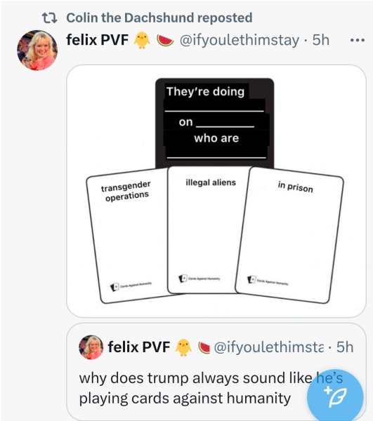 Thread 7 Starmer : Cats and Conferences