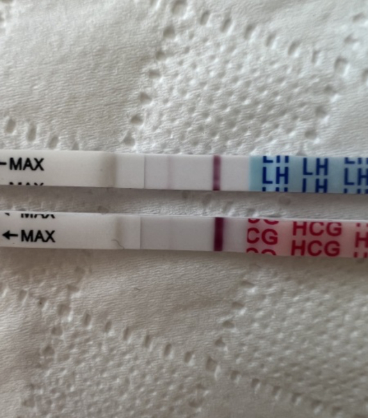 Testing Lh at the same time as pregnancy a word of caution..