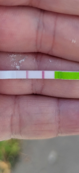 Positive opk?