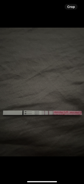 TTC Active Letrozole Thread