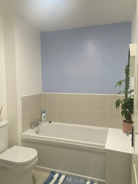 What colour to paint my bathroom (also vinyl floor suggestions please)