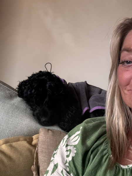 to let dog on the sofa?