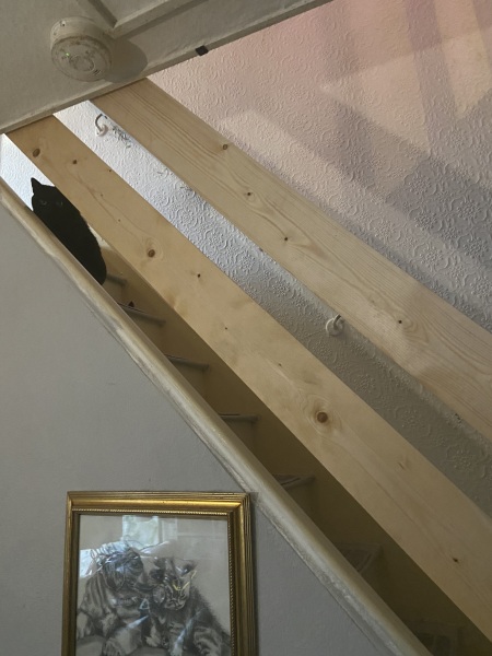 New stair decor inspiration