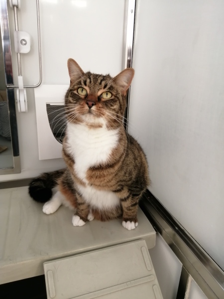 Private conversations held on MN