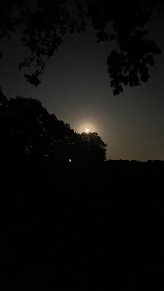 Any Witches here? Part 20