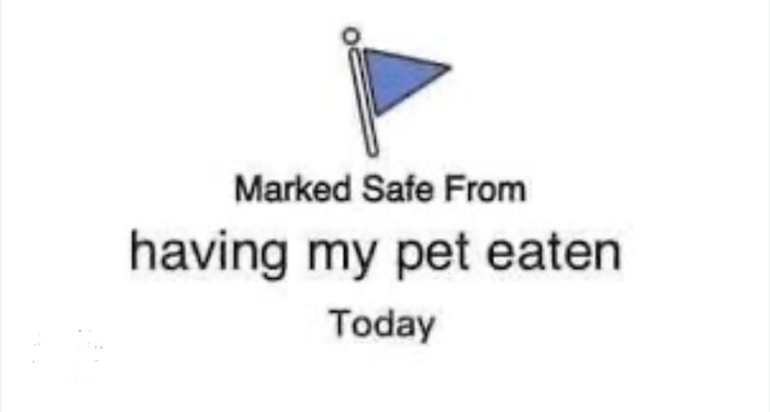 What's True Pussycat? - Trump Thread #134