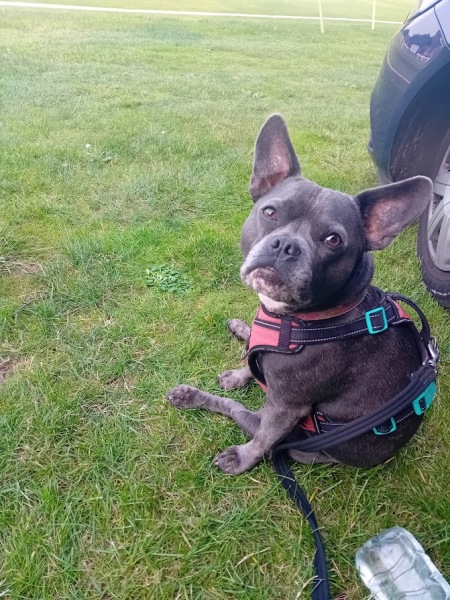 The Continuing Support Thread for Anyone Trying to Lead an Alcohol-Free Life Autumn 2024