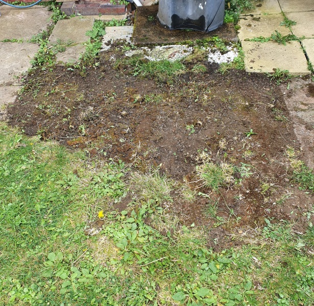 What is this under here?