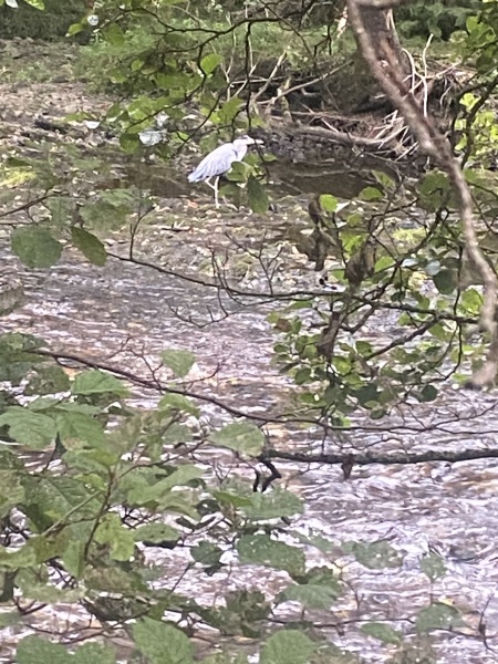 Come and tell me your dull and unexciting news 31: Calmly through the day