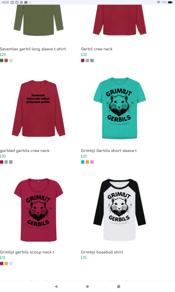 Les Bas Bleus, The Bluestocking...