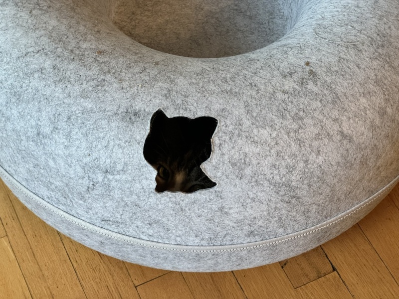 Come and tell me your dull and unexciting news 31: Calmly through the day