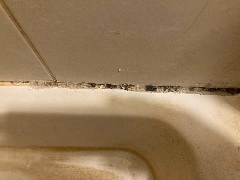 Mould/mold magic
