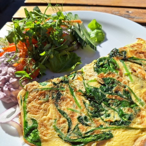 Mounjaro September Support