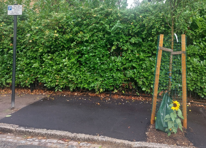 Archers thread #173: The Fall of the House of Grundy? Discuss The Archers here.