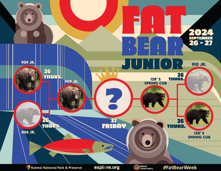 AIBU to bring 'Fat Bear Week' 2024 to your attention? Vote for your favourite!