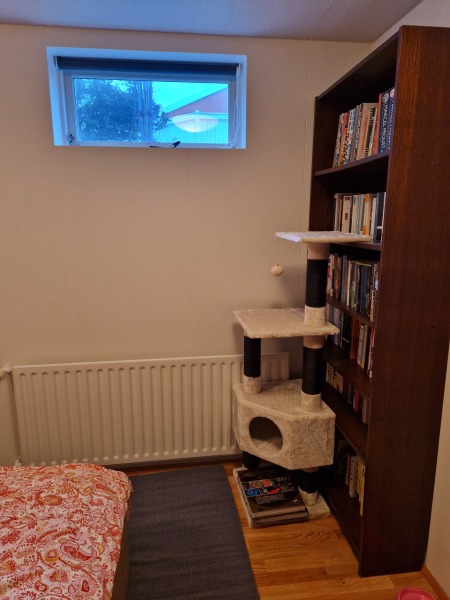 Setting up room for rescue cat