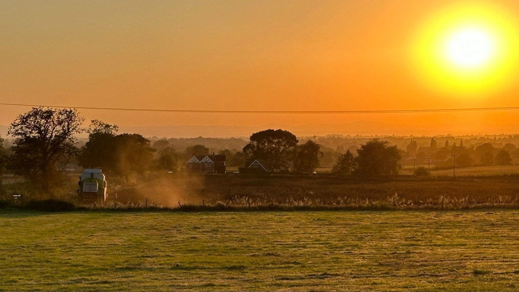 Come and tell me your dull and unexciting news 31: Calmly through the day