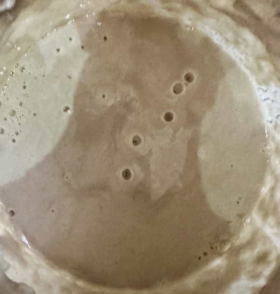 Is my sourdough starter saleable?