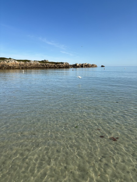 Spring has sprung...let's Countdown to Christmas 2024 (Thread 2)