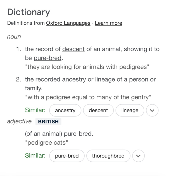 To not understand the obsession with ‘doodle’ breeds