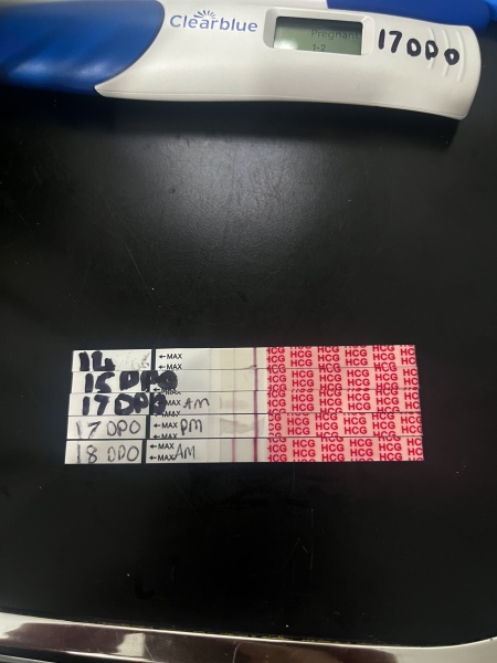 Test… positive or negative