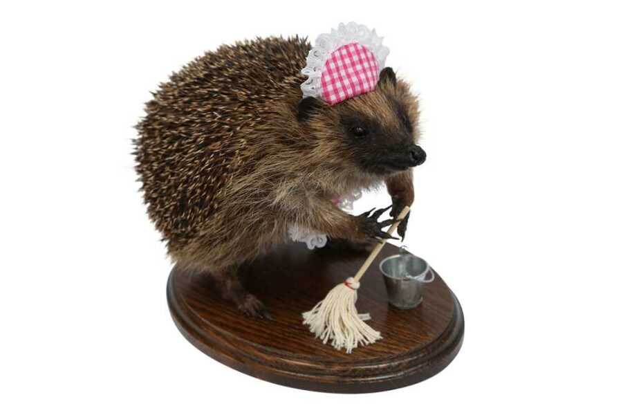 What date do you decorate for autumn?