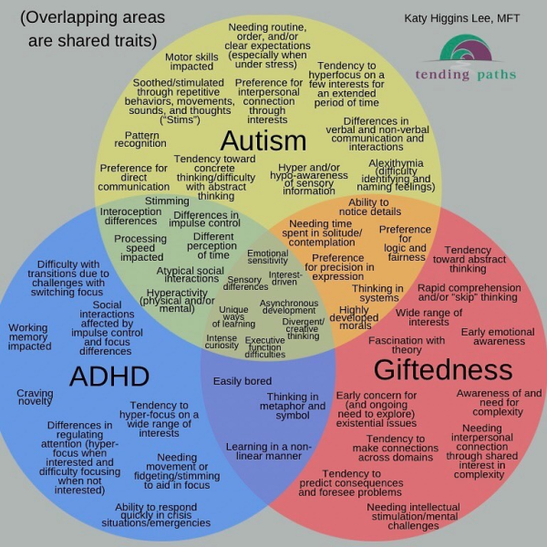 Can being 'gifted' be confused for autism?