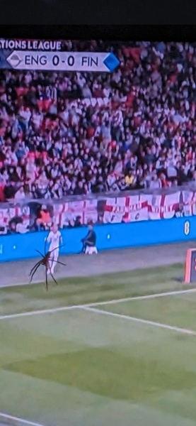 Come and tell me your dull and unexciting news 31: Calmly through the day