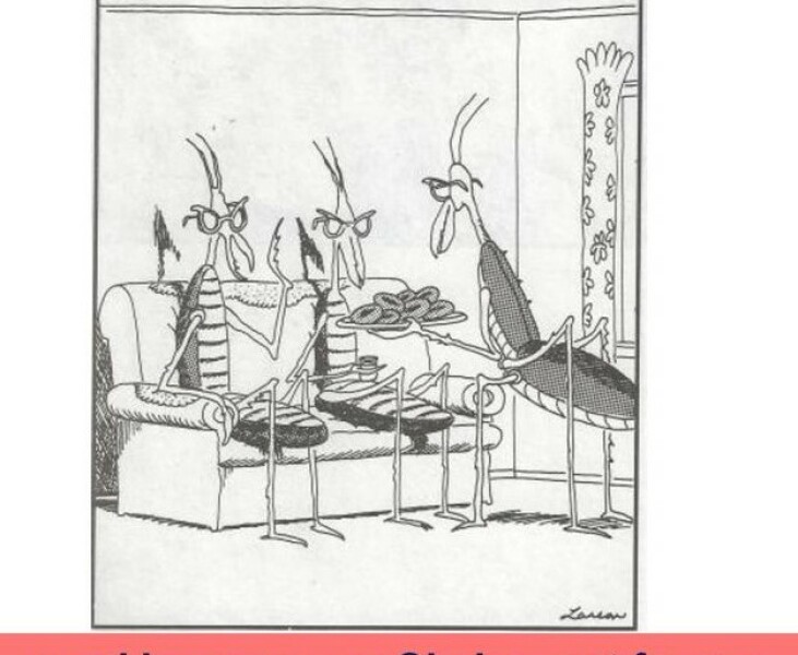 Bluestocking - the second leg