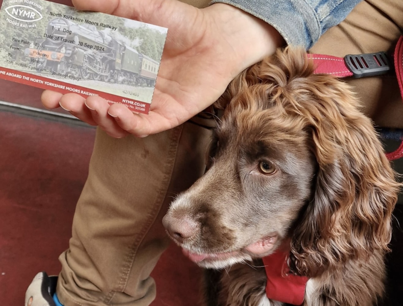 Puppy Survival Thread for New & Old Pups - Soon be Autumn 2024