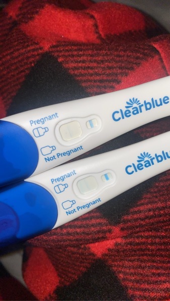 Clear blue test. Evap line or positive