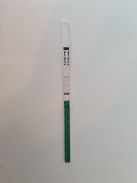 Positive pregnancy test then the line disappeared