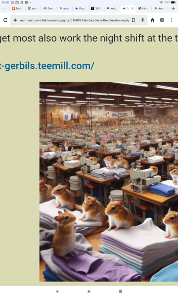 Les Bas Bleus, The Bluestocking...