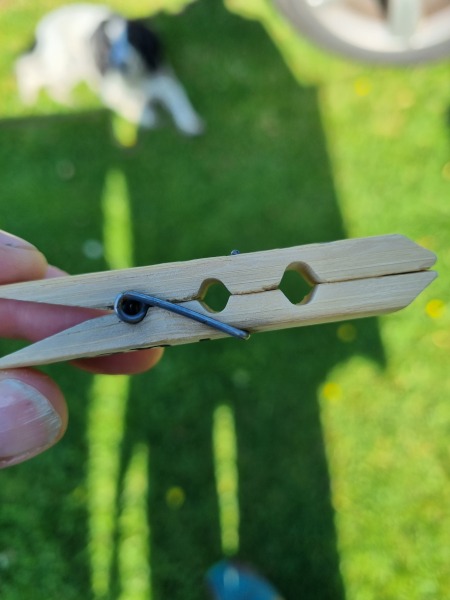 Pegs