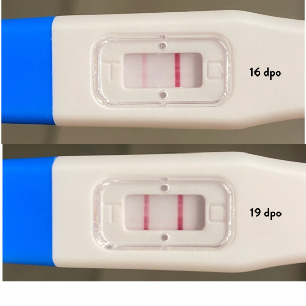 TWW buddies? Ovulated on the 3rd!