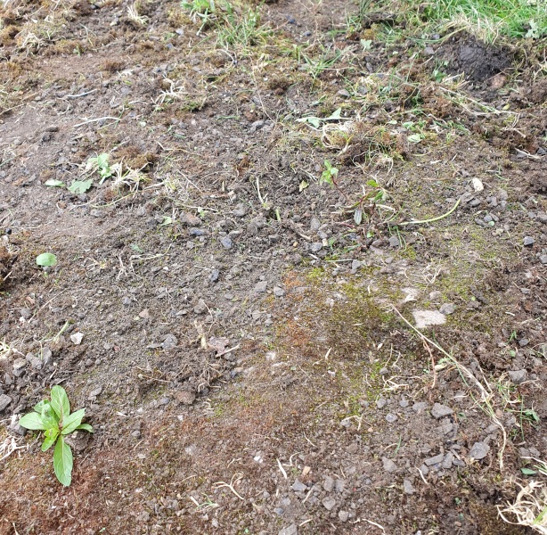 What is this under here?