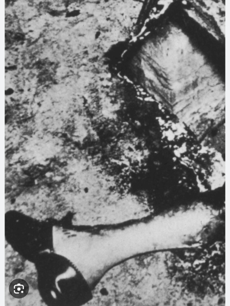 Most powerful images in history [content warning: distressing images]
