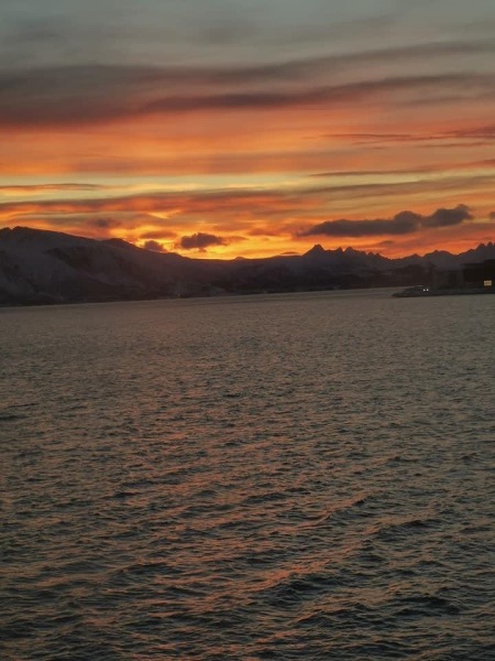 To wonder why everyone raves about cruises?