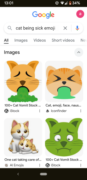 Passports, buckets and spades - the Excellent Cats go on their holidays