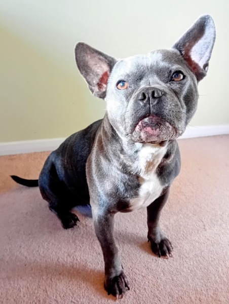 The Continuing Support Thread for Anyone Trying to Lead an Alcohol-Free Life Autumn 2024