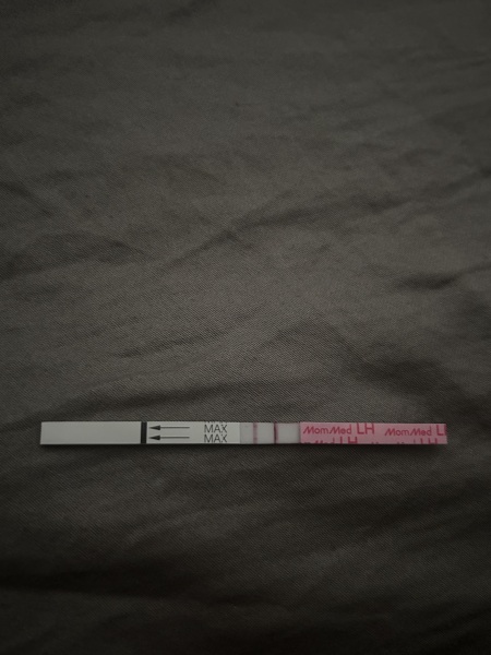 Anyone about to go into an ovulation week?