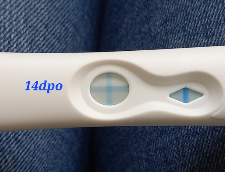 TWW buddies? Ovulated on the 3rd!