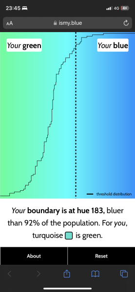 Do people just not know what Turquoise is?