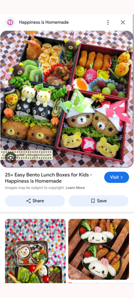 AIBU to hope Bento boxes for packed school lunches never take off here?
