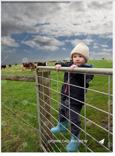 DS aged 3.9 is stood on our gate …