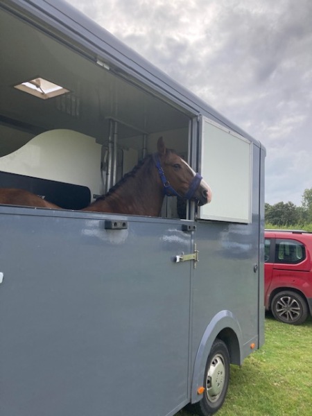 Curious about Horses and Eventing/ShowJumping