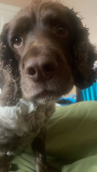 The Continuing Support Thread for Anyone Trying to Lead an Alcohol-Free Life Autumn 2024