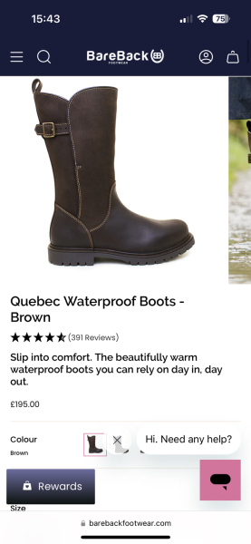 winter everyday chelsea boots (not Blundstones!)