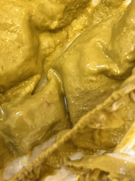 Speck of blood in poo & diarrhoea - 12 week old (pic attached)