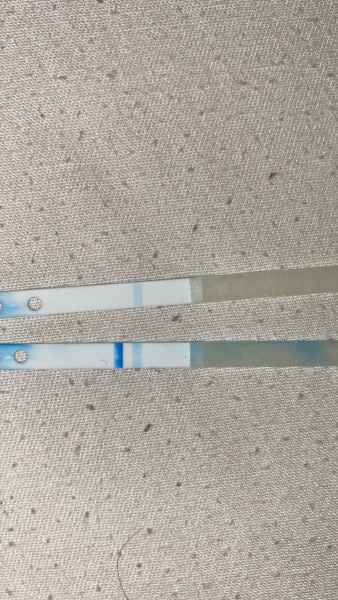 Clear blue digital